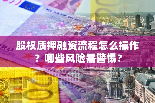 武汉股权质押融资流程怎么操作？哪些风险需警惕？