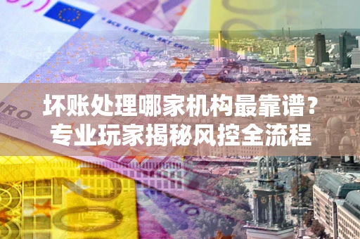 武汉坏账处理哪家机构最靠谱？专业玩家揭秘风控全流程