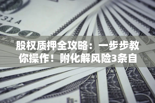 武汉股权质押全攻略：一步步教你操作！附化解风险3条自救法则