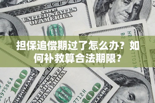 武汉担保追偿期过了怎么办？如何补救算合法期限？