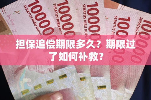 武汉担保追偿期限多久？期限过了如何补救？