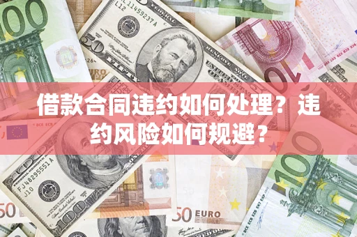 武汉借款合同违约如何处理？违约风险如何规避？