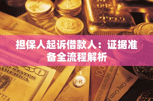 武汉担保人起诉借款人：证据准备全流程解析