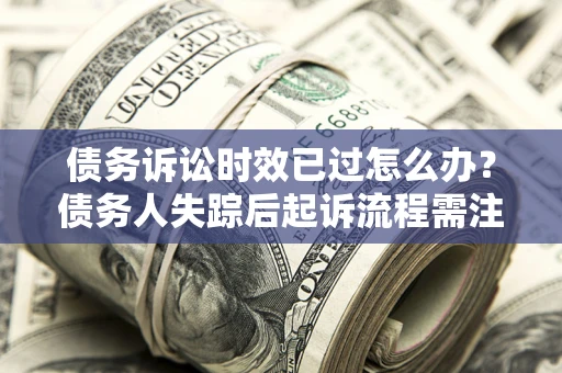 武汉债务诉讼时效已过怎么办？债务人失踪后起诉流程需注意什么？