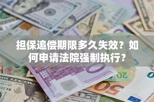 武汉担保追偿期限多久失效？如何申请法院强制执行？
